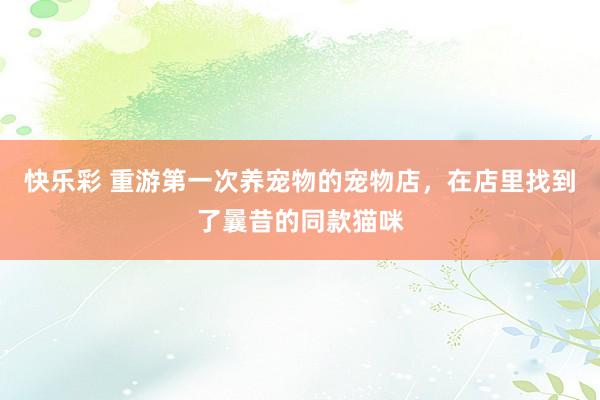 快乐彩 重游第一次养宠物的宠物店，在店里找到了曩昔的同款猫咪