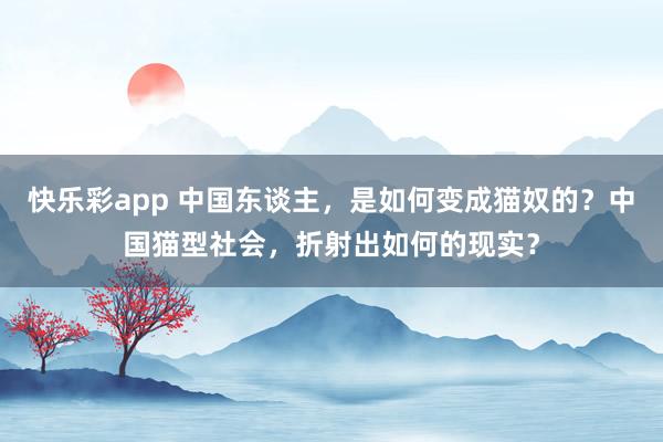 快乐彩app 中国东谈主，是如何变成猫奴的？中国猫型社会，折射出如何的现实？
