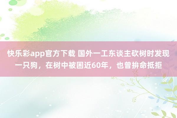 快乐彩app官方下载 国外一工东谈主砍树时发现一只狗，在树中被困近60年，也曾拚命抵拒