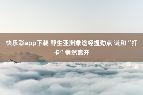 快乐彩app下载 野生亚洲象途经握勤点 谦和“打卡”悄然离开