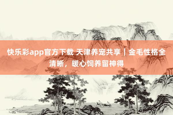 快乐彩app官方下载 天津养宠共享｜金毛性格全清晰，暖心饲养留神得