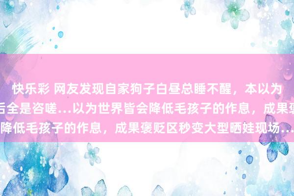 快乐彩 网友发现自家狗子白昼总睡不醒，本以为是生病，成果深夜追踪后全是咨嗟…以为世界皆会降低毛孩子的作息，成果褒贬区秒变大型晒娃现场…
