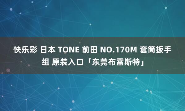 快乐彩 日本 TONE 前田 NO.170M 套筒扳手组 原装入口「东莞布雷斯特」